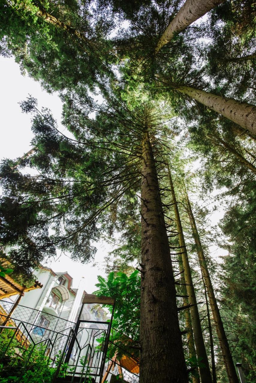 Hotel Zelenyy Bir Skhidnytsia Esterno foto